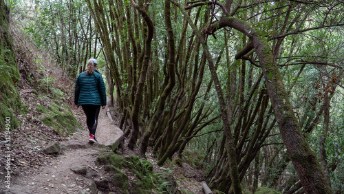 Hiker Exploring Wooded Trail 