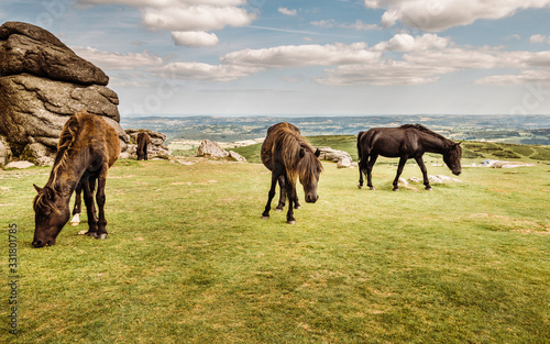 Dartmoor national park 