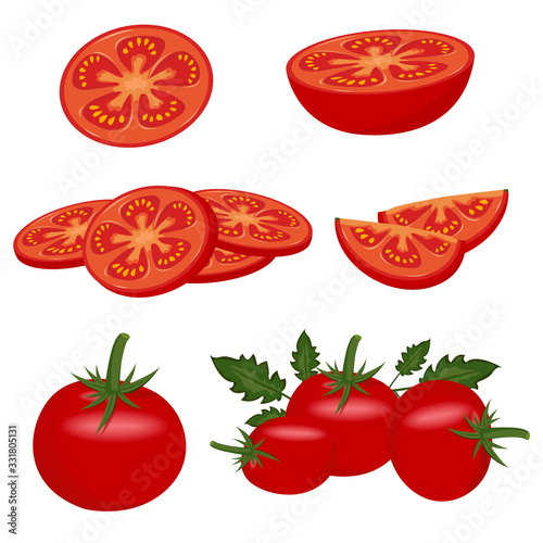 Tomato set. Red tomato collection. vector tomatoes on transparent background.
