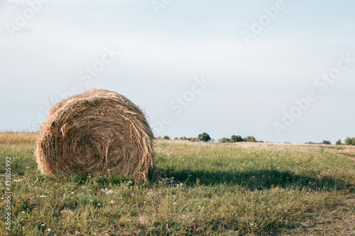 Haystack on a field in autumn in sunny weather