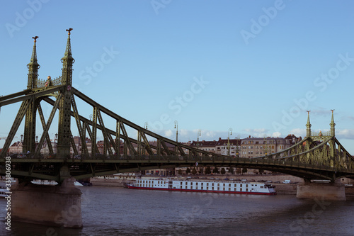 Nineteenth Century Old Metalic Green Freedom European Bridge in Budapest