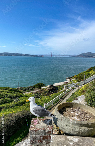 Alcatraz
