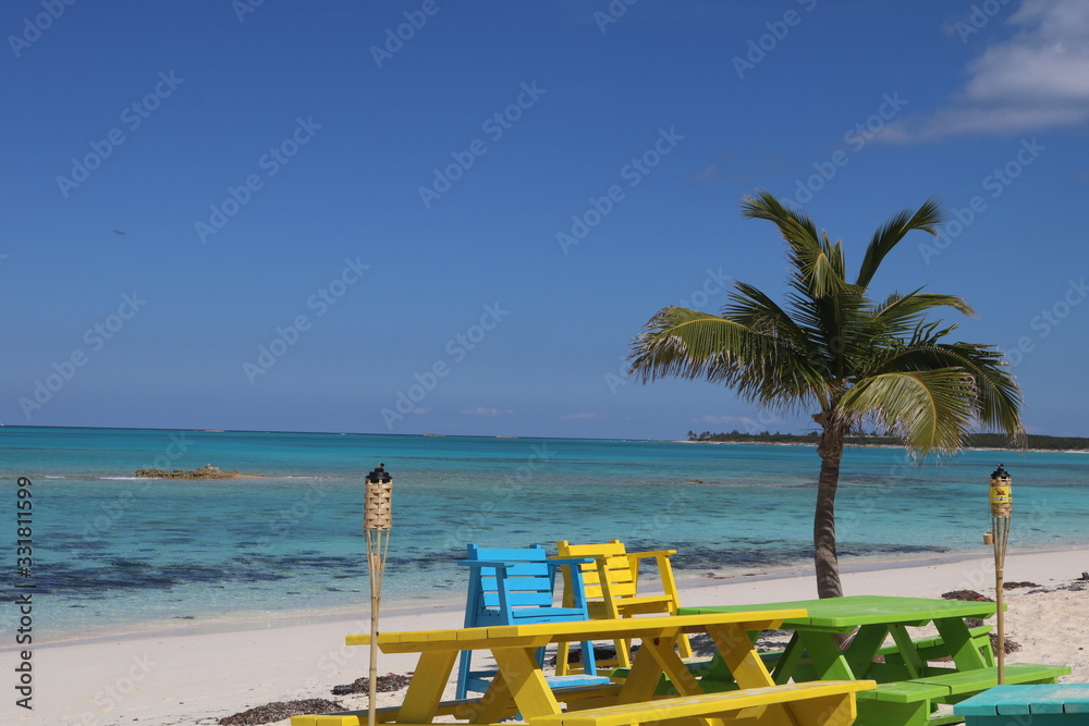 beach with palm trees and chairs