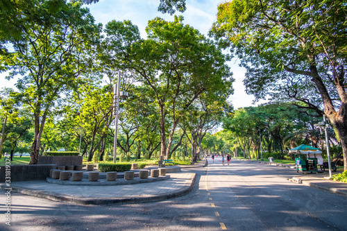 Walk way, green garden and big trees in Lumpini Park in the evening (Bangkok, Thailand)