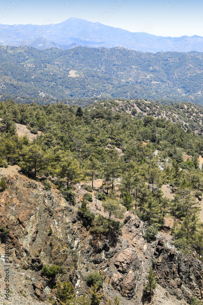 Naklejka premium Wald und Zedern Landschaft der Insel Zypern im Gebirge 