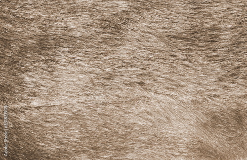 Texture of artificial fur.