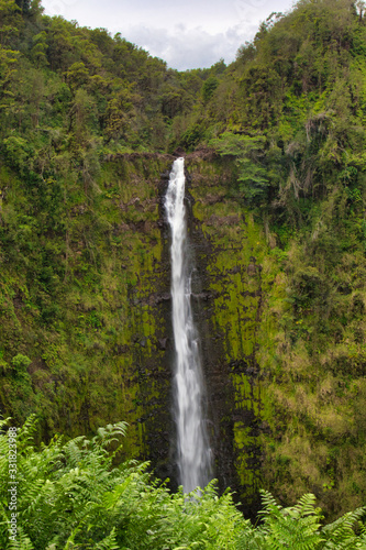 Akaka Falls on the bib island(hawaii).