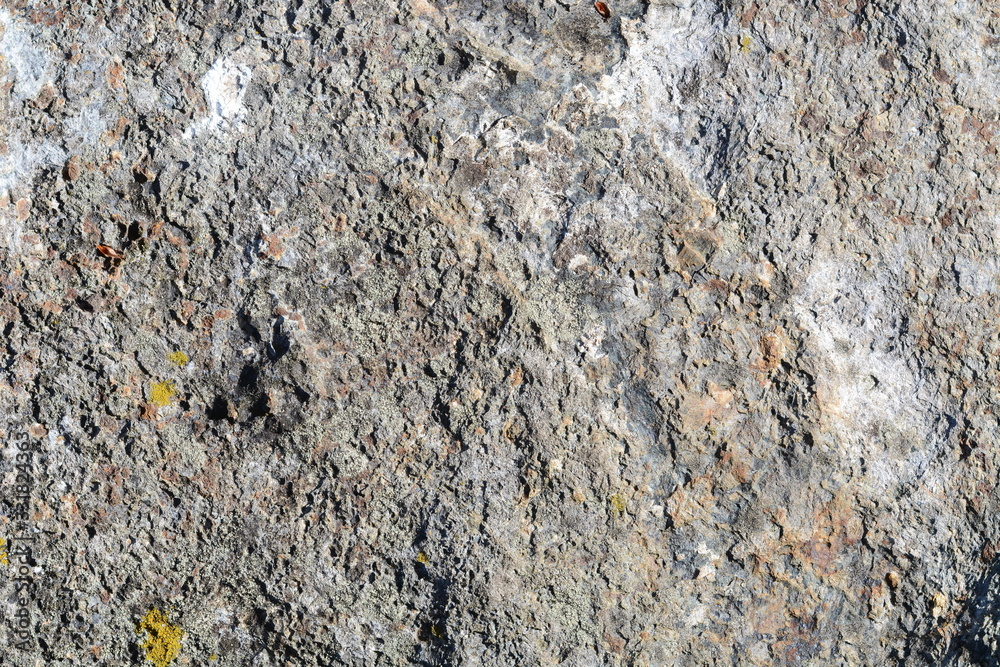 Stone texture close up detail Stone texture close up detail