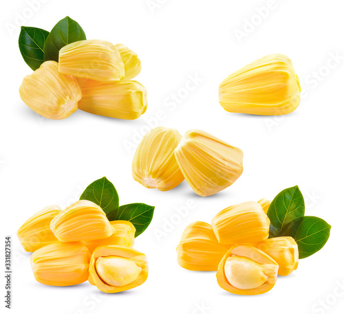 Jackfruit Collection isolated on a white background
