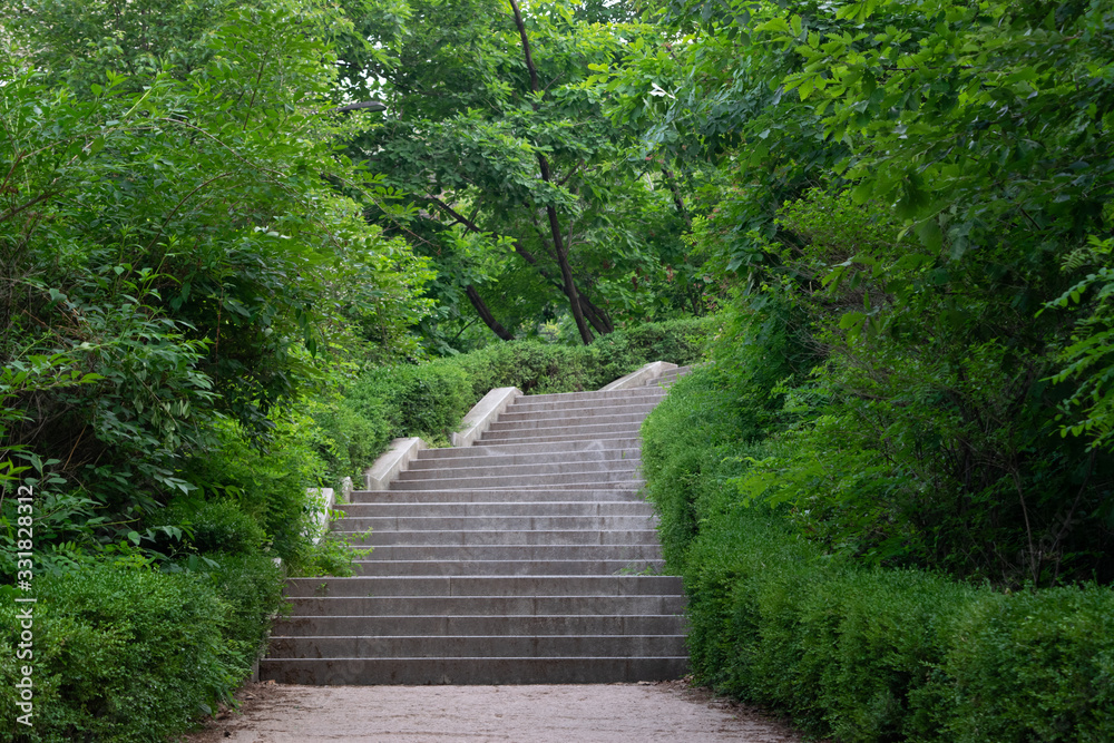 Staircase in Lush Garden / Public Park - Seoul, South Korea
