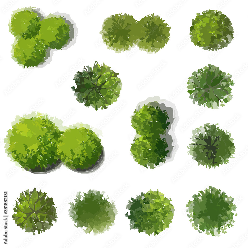 Set of tree top view isolated on white background for landscape plan - obrazy, fototapety, plakaty 