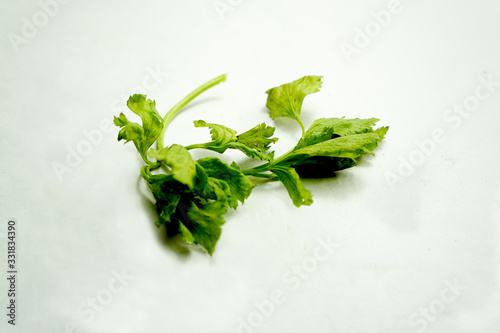 celery leaves