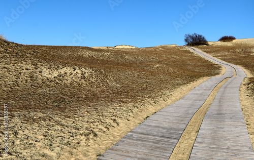View of nordic sand dunes with wooden pathways on Curonian spit  Nida  Klaipeda  Lithuania