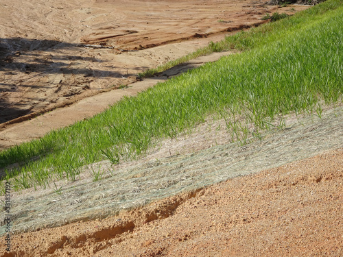 Canvas Print The grass is planted to prevent erosion of the soil slope