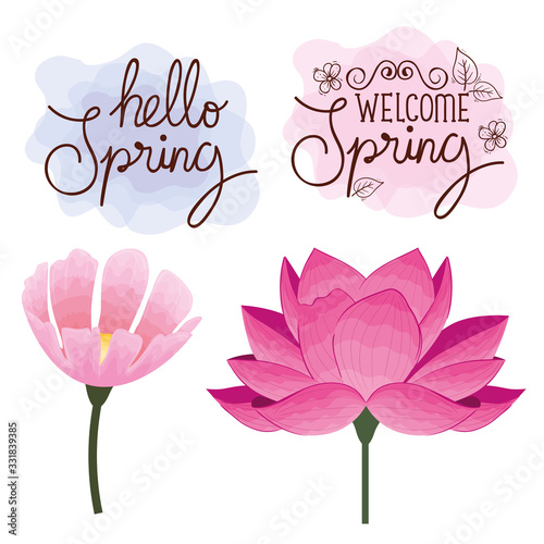 set cards of hello spring with flowers decoration vector illustration design