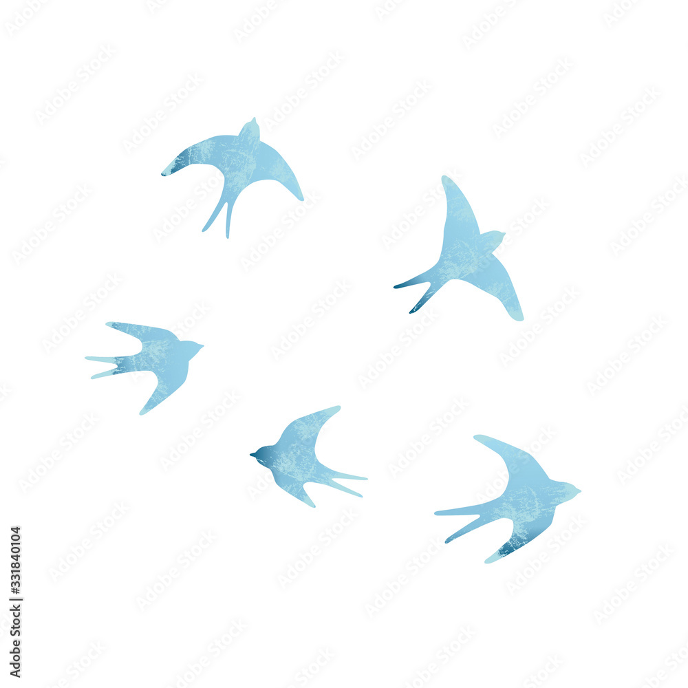 Obraz Vector silhouette illustration set of blue swallow