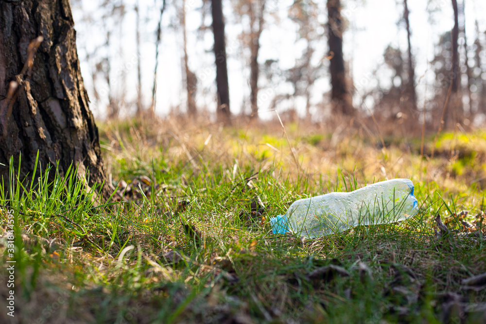 Obraz premium plastic bottle lies on the grass under a tree in the forest in the rays of sunlight close-up. Environmental pollution, natural environment, biosphere garbage discharge on the street
