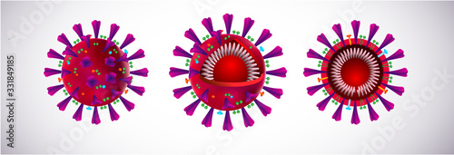 Coronavirus Structure, Covid-19 (2019 nCoV) wuhan virus disease Vector Illustration