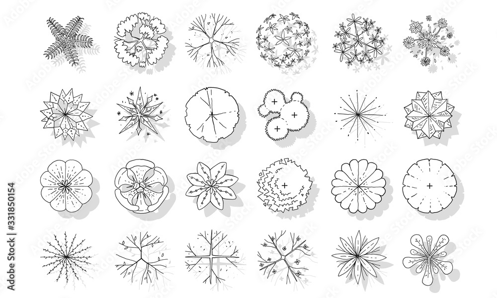 vector of top view tree set, hand drawn sketch on white background.