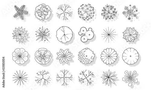 vector of top view tree set, hand drawn sketch on white background.
