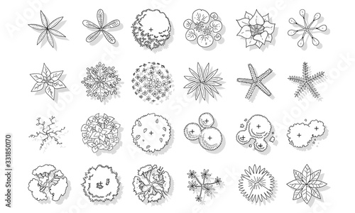 vector of top view tree set, hand drawn sketch on white background.