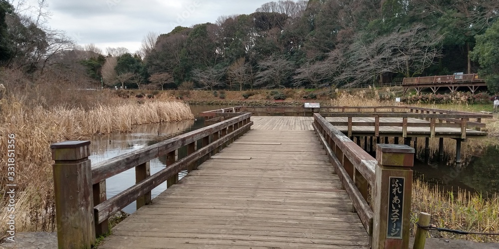 Fototapeta premium pond