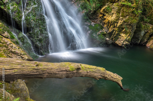 Cascada de agua con tronco en el valle de Baztan (Navarra, España).