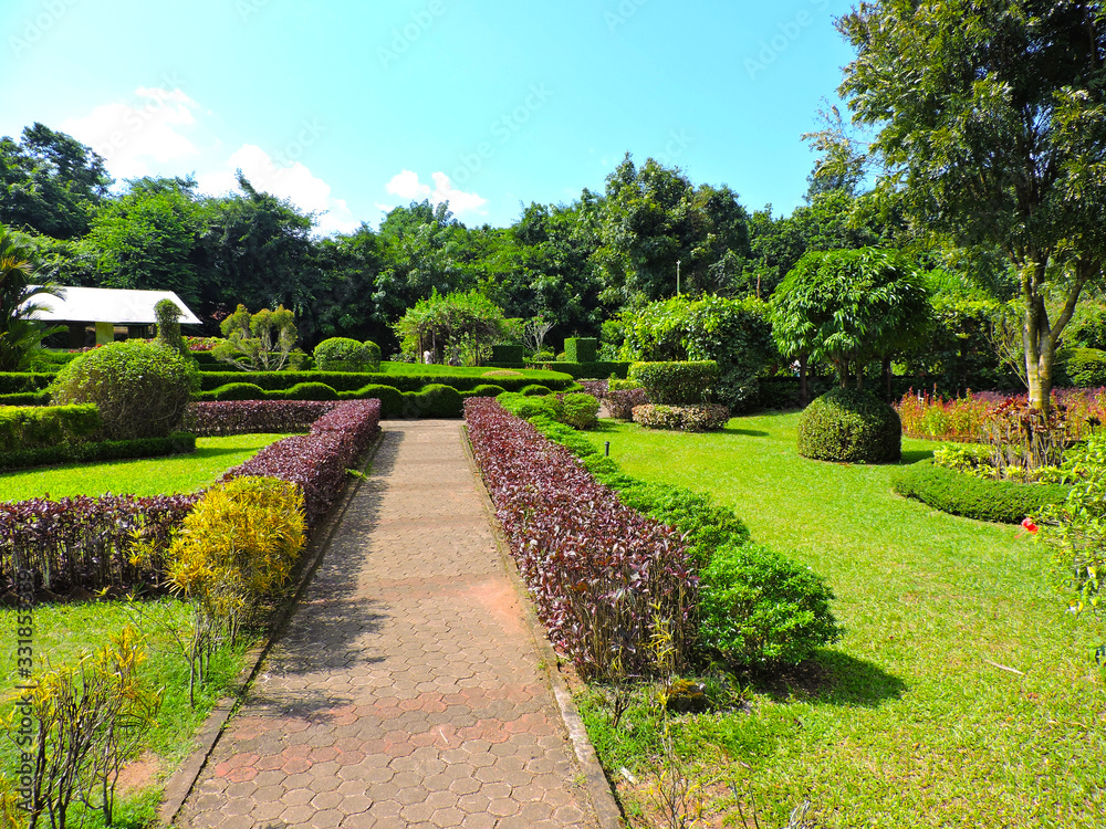 garden garden