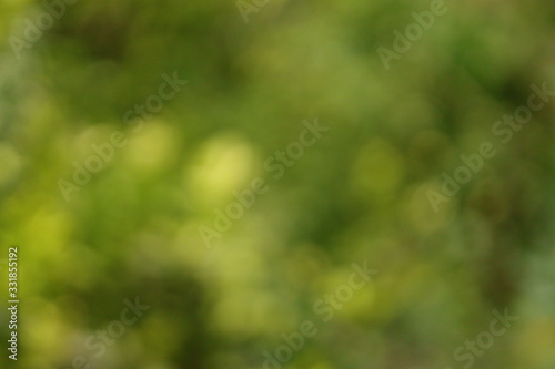 Spring or green background, green blurred bokeh lights