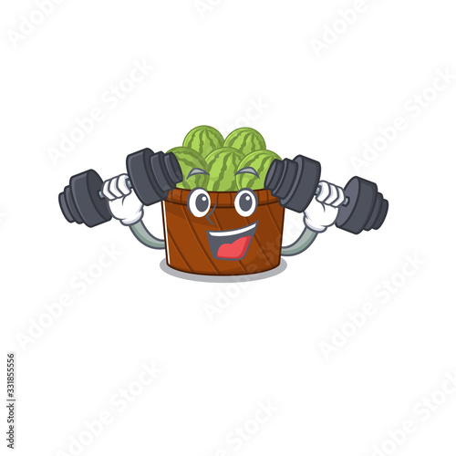 Smiley Fitness exercise watermelon fruit basket cartoon character raising barbells photo