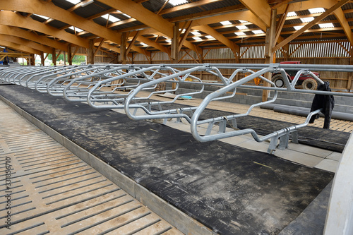 Construction d'un batiment agricole à ossature bois. Stabulation, logettes en acier zingué équipées de tapis et matelas photo