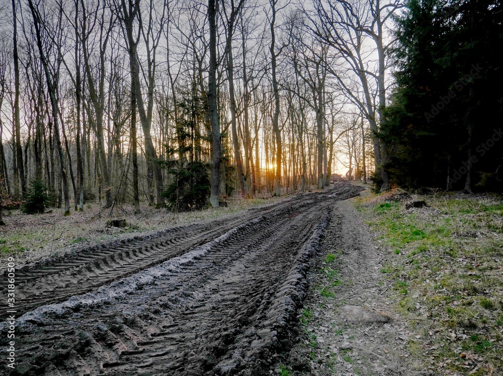 Sunset on a muddy forest road Sunset on a muddy forest road
