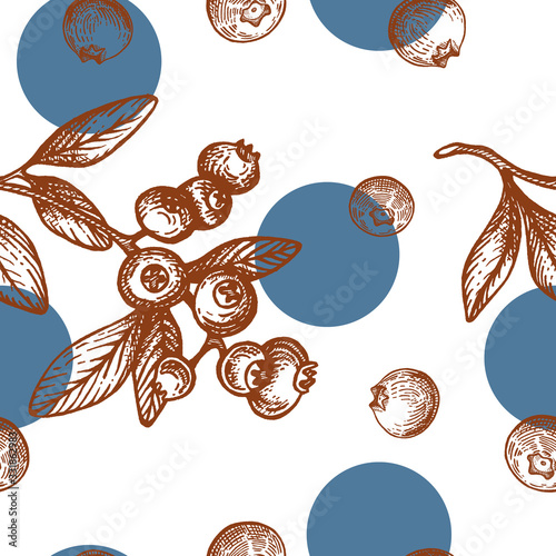 Vector pattern with blueberry and circles