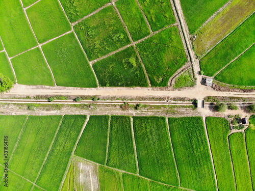 Aerial photography drone countryside agriculture and forest 