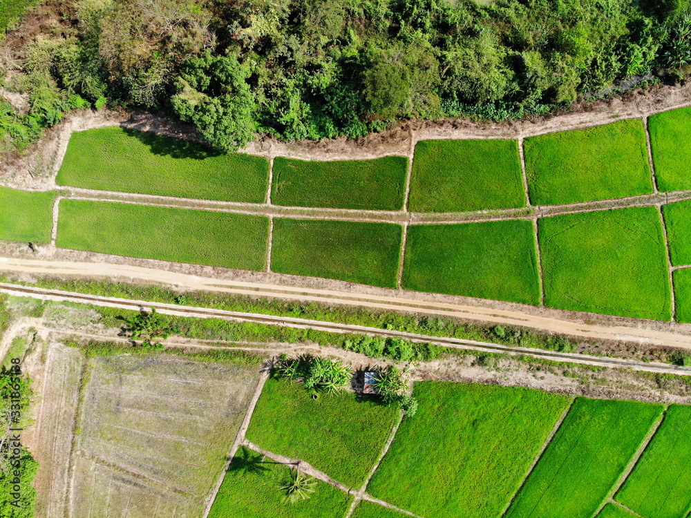 Aerial photography drone countryside agriculture and forest 