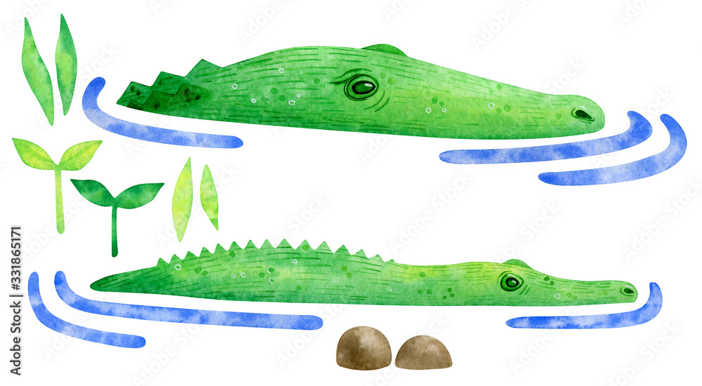 Watercolor set with crocodile in the water. Green wild predator. Cute alligator character for eco design, nature posters, covers