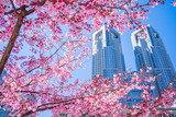 東京 桜 サクラ 都庁 高層ビル SAKURA Cherry Blossoms