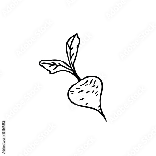 Beetroot hand drawn in doodle style. single element for design postcard, sticker, icon. autumn, harvest, thanksgiving, hugg, scandinavian, simple
