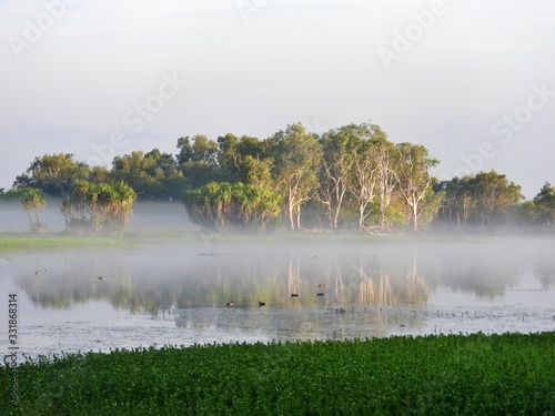 Morgennebel über Billabong photo