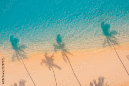 The shadow of the coconut tree leaves on the sand, sunset beach landscape, aerial view. Tropical island beach, aerial landscape, summer scene