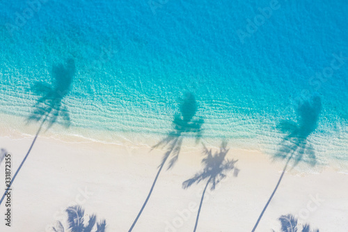 Aerial beach landscape. Minimalist beach view from drone or airplane, palm shadows in white sand near blue sea with beautiful ripples and waves. Perfect summer beach landscape banner. Exotic blue sea