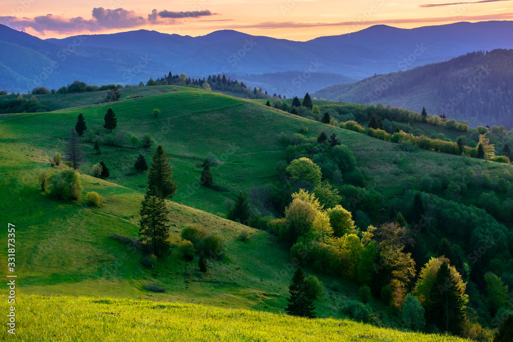 Obraz premium mountainous countryside in springtime at dusk. trees on the rolling hills. ridge in the distance. clouds on the sky. stunning rural landscape of carpathians