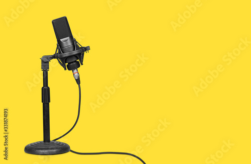 professional microphone on a table stand