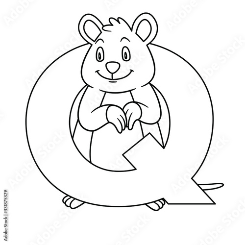 animal alphabet. capital letter Q, Quokka. Vector illustration. For pre school education, kindergarten and foreign language learning for kids and children. Coloring page and books, zoo topic.
