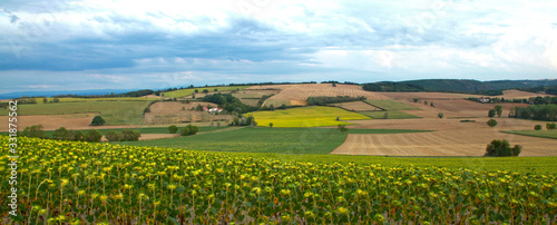 Quadro em tela Paysage agricole en auvergne