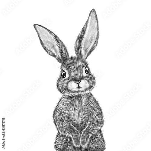 Cute hand drawn rabbit portrait. Nursery poster