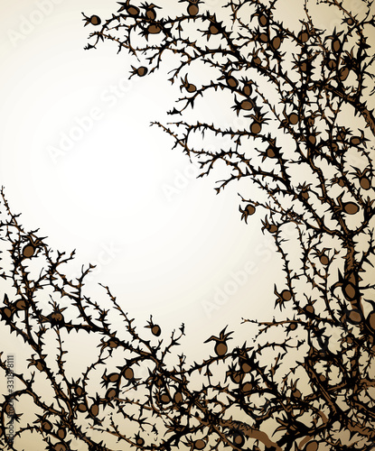 Branch of Blackthorn. Vector drawing