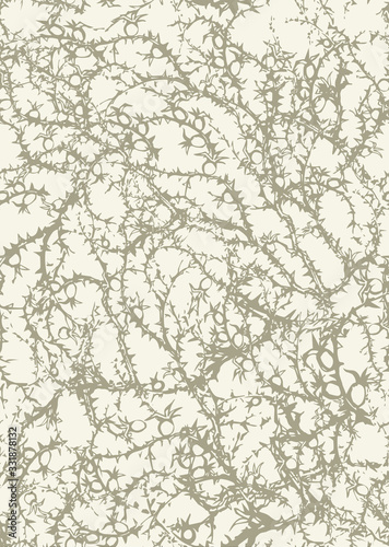 Branches of Blackthorn. Vector drawing
