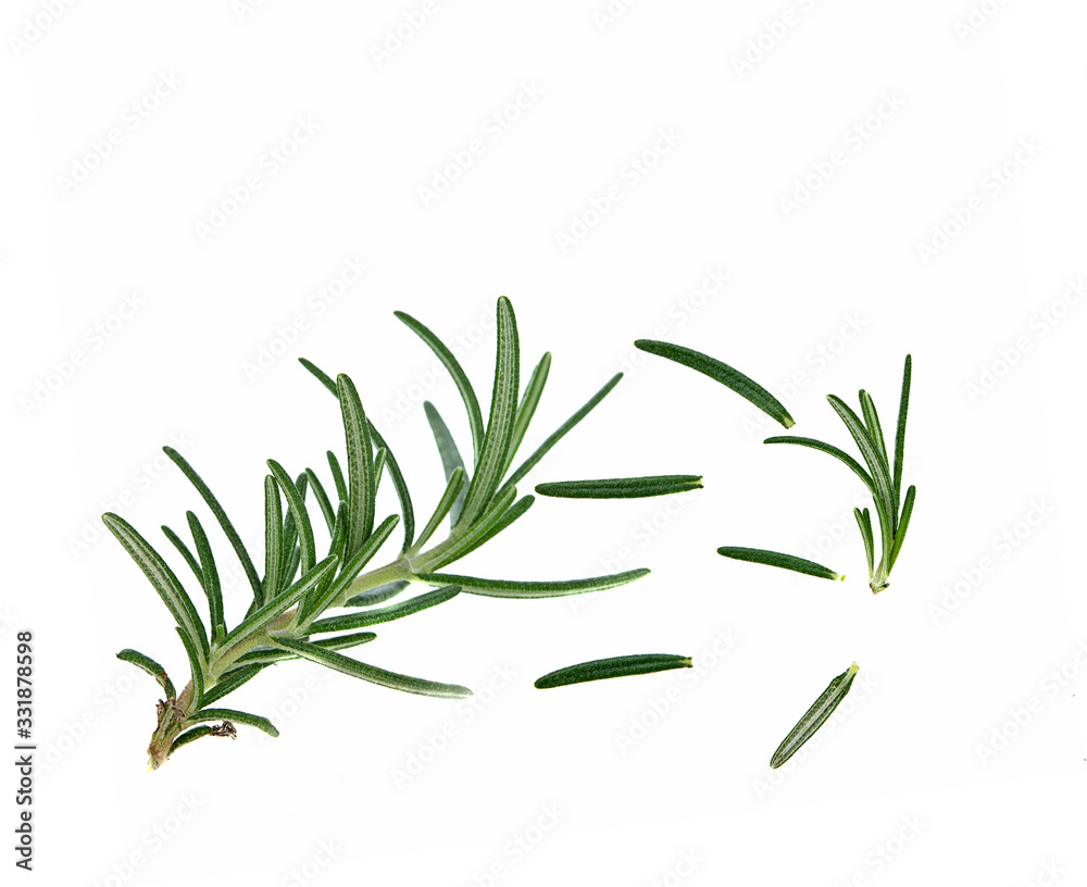 Fototapeta premium świeży rozmaryn na białym tle (widok z góry)