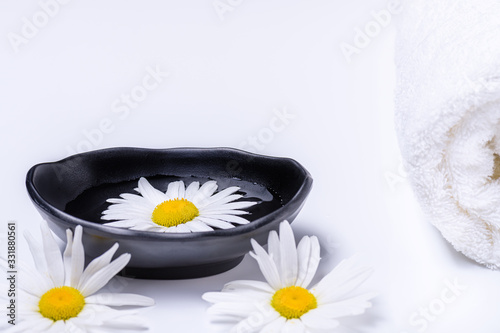 Natural oils for SPA. Spa treatment concept with terry towel and black plate with liquid in which white daisy floats. White terry towel and white daisies lying white background.. Copy space for text.